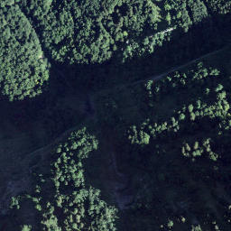 Satellite imagery of Forenegg, CH