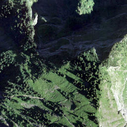 Satellite imagery of Wiggisegg, CH