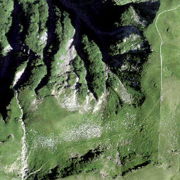 Satellite imagery of Spluchöpf, CH