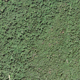 Satellite imagery of 8.V.15.», CH