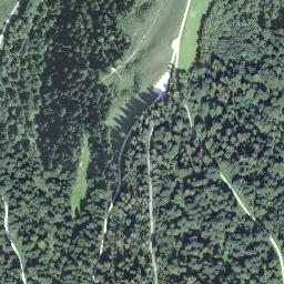 Satellite imagery of Schwarzegg, CH