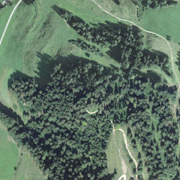 Satellite imagery of Badegg, CH