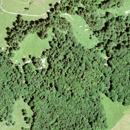 Satellite imagery of Rotenflue, CH