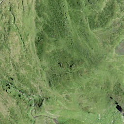 Satellite imagery of Lüsgütsch, CH