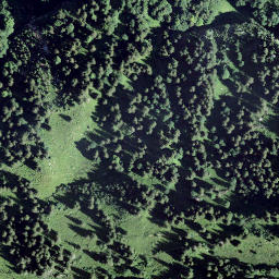 Satellite imagery of Gampeleggen, CH
