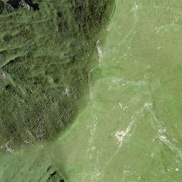 Satellite imagery of Drosbüel, CH