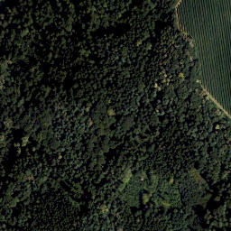 Satellite imagery of Schloss Klingenstein, AT