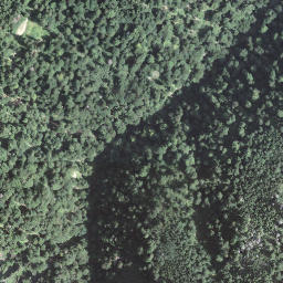 Satellite imagery of Schwarzegg, CH