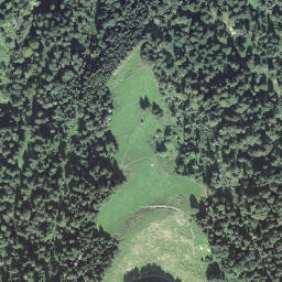 Satellite imagery of Goldsitenegg, CH