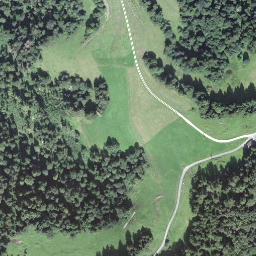 Satellite imagery of Goldsitenegg, CH
