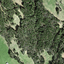Satellite imagery of Schwandegg, CH