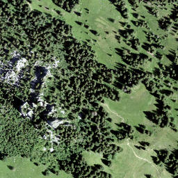 Satellite imagery of Gross Schijen, CH