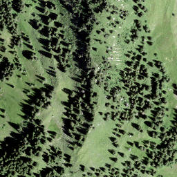 Satellite imagery of Gross Schijen, CH