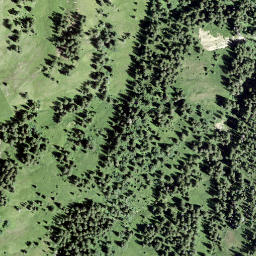 Satellite imagery of Gross Schijen, CH