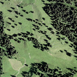 Satellite imagery of Mördergruebi, CH