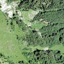 Satellite imagery of Richlis, CH