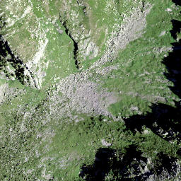 Satellite imagery of Plattenstock, CH