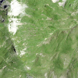 Satellite imagery of Walachamm, CH