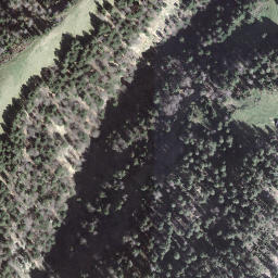 Satellite imagery of Farnli-Esel, CH