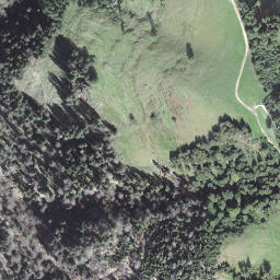 Satellite imagery of Hochänzi, CH