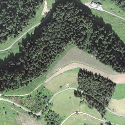 Satellite imagery of Goldsitenegg, CH