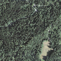 Satellite imagery of Dornegg, CH