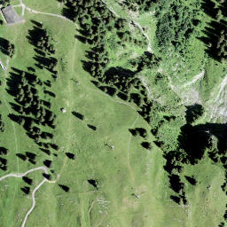 Satellite imagery of Trittlipass, CH