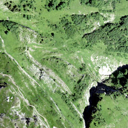 Satellite imagery of Richlis, CH