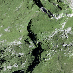 Satellite imagery of Milchplanggenstogg, CH