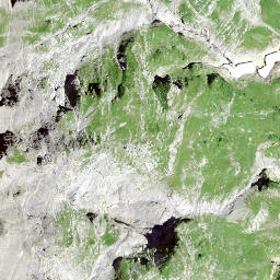 Satellite imagery of Guppenfirst, CH