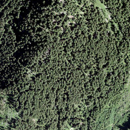 Satellite imagery of Plattenstock, CH