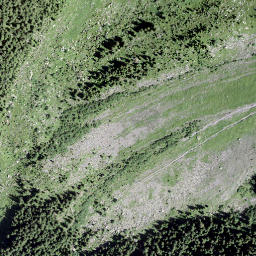 Satellite imagery of Plattenstock, CH