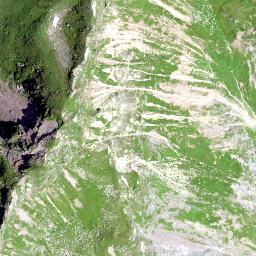 Satellite imagery of Teufgärtli, CH