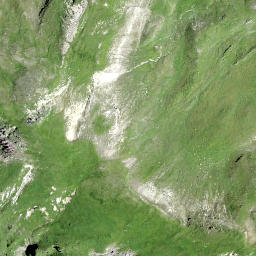 Satellite imagery of Walachamm, CH