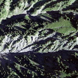 Satellite imagery of Breitegg, CH