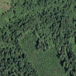 Satellite imagery of Buck Ridge, US
