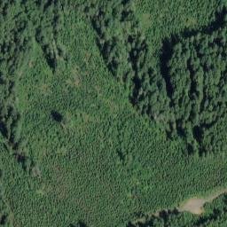 Satellite imagery of Buck Ridge, US