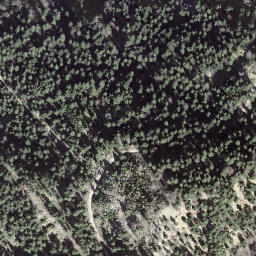 Satellite imagery of Farnli-Esel, CH