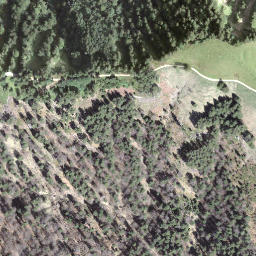 Satellite imagery of Napf, CH
