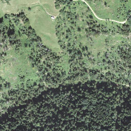 Satellite imagery of Goldsitenegg, CH