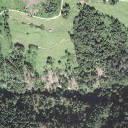 Satellite imagery of Goldsitenegg, CH