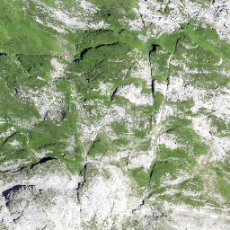 Satellite imagery of Bietstock, CH