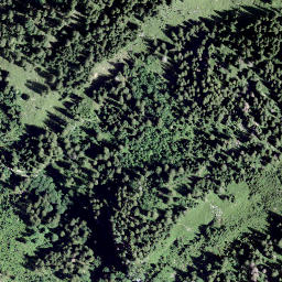 Satellite imagery of Milchplanggenstogg, CH