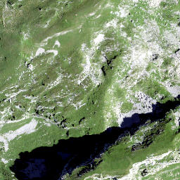 Satellite imagery of Milchplanggenstogg, CH