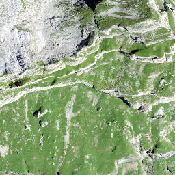 Satellite imagery of Näbelchäppler, CH