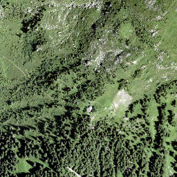 Satellite imagery of Chämmli, CH
