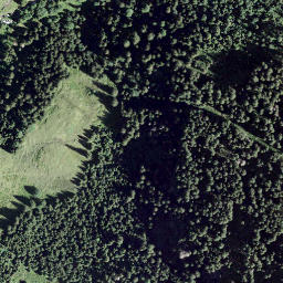 Satellite imagery of Luzisegg, CH