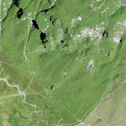 Satellite imagery of Walachamm, CH