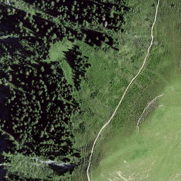Satellite imagery of Waldibüel, CH