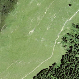Satellite imagery of Waldibüel, CH